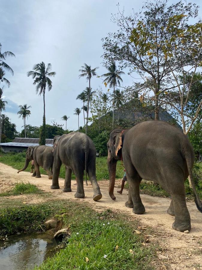 Amadha Villas Retreat - Free Tuk-Tuk Service To The Beach Ao Nang Екстериор снимка