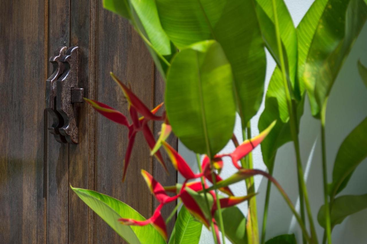 Amadha Villas Retreat - Free Tuk-Tuk Service To The Beach Ao Nang Екстериор снимка